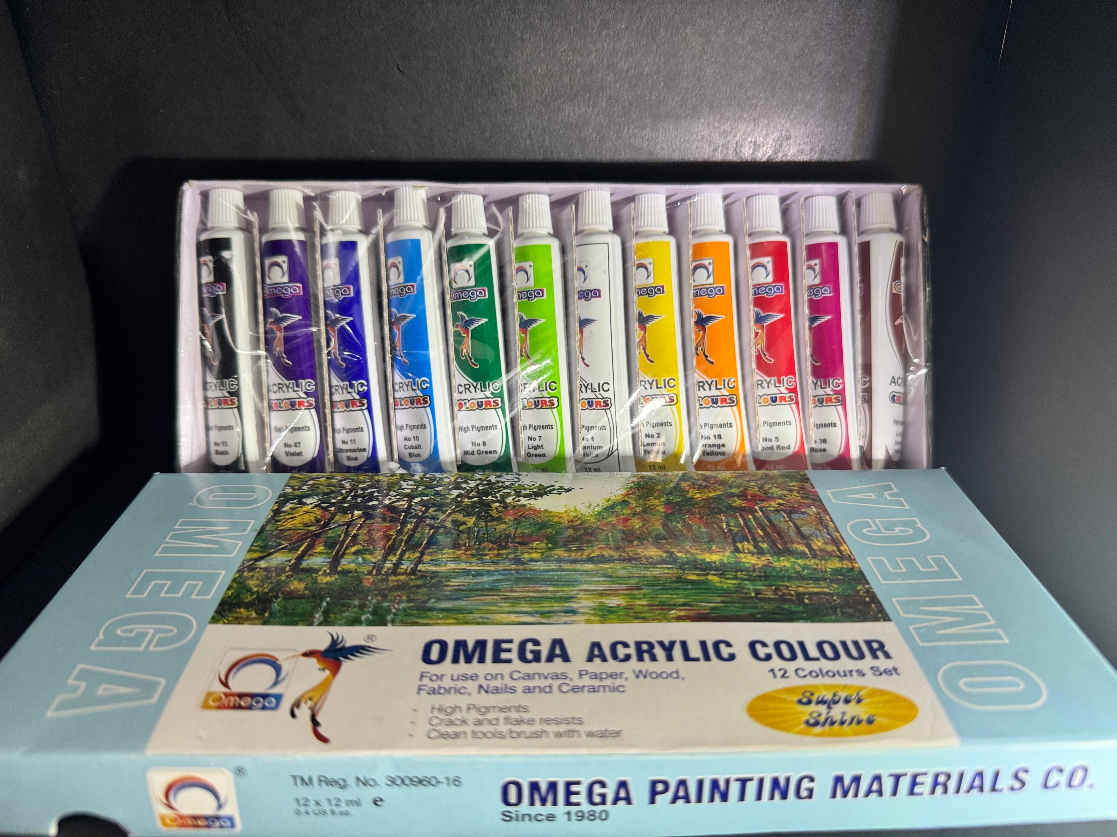 Omega Acrylic Color Painting Set – 12 Tubes (12ml Each)